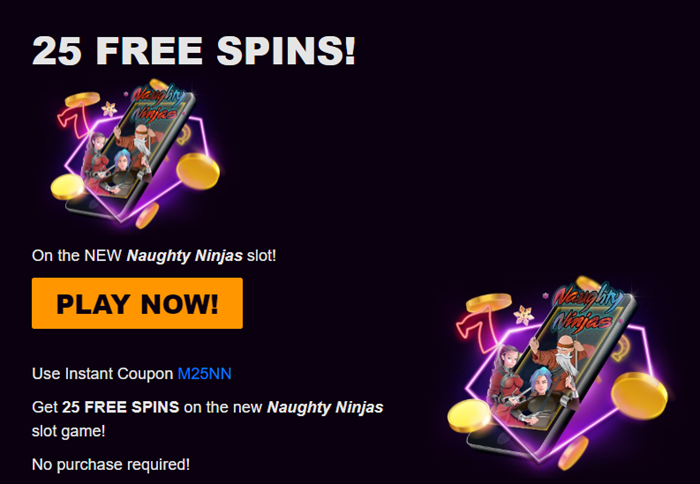 Naughty Ninjas Slot Review 25 Free Spins - No Deposit Bonus Code