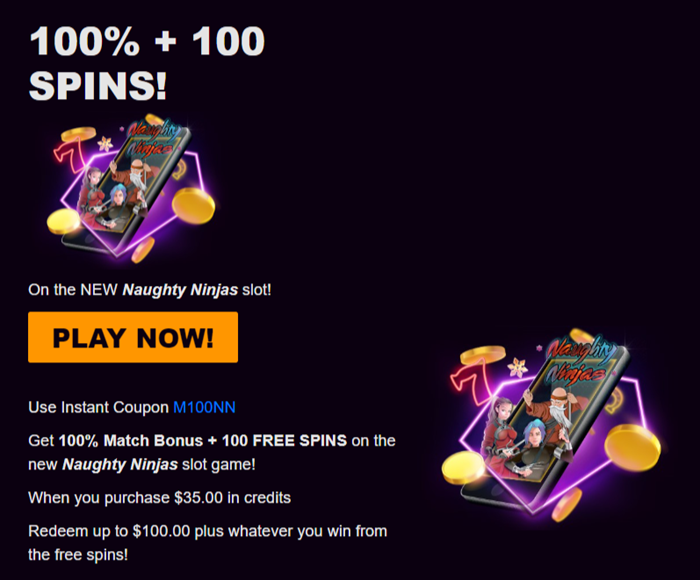 Naughty Ninjas Slot 100% Bonus Match + 100 Bonus Spins